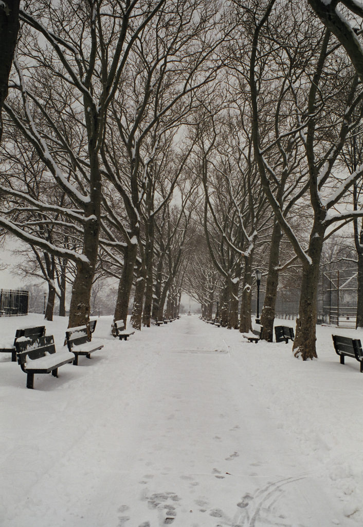 Sunset Park, the Highest Point in Brooklyn | Sunset Park